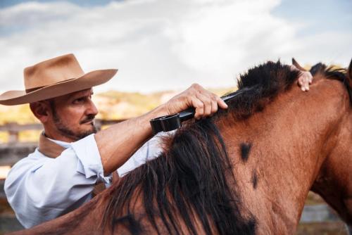 exposicao-encilhas-e-pilchas-02