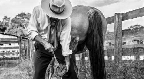 exposicao-encilhas-e-pilchas-03